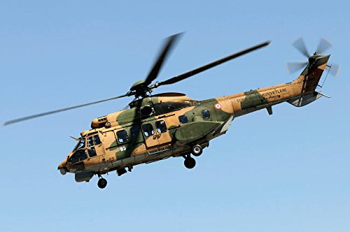 Giant Redwood trees in a forest Humboldt Redwoods State Park California USA Poster Print by Panoramic Images (18 x 7)