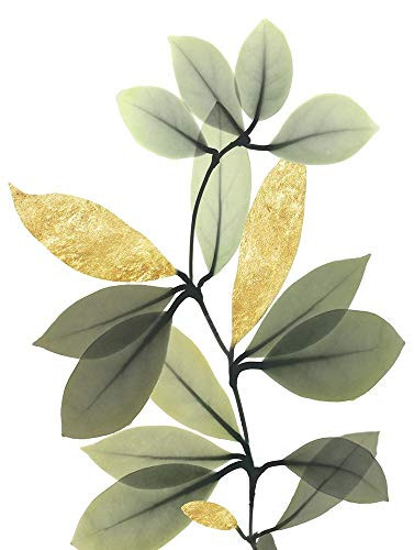 Posterazzi Collection Golden Guide 2 Poster Print by Albert Koetsier (12 x 9)