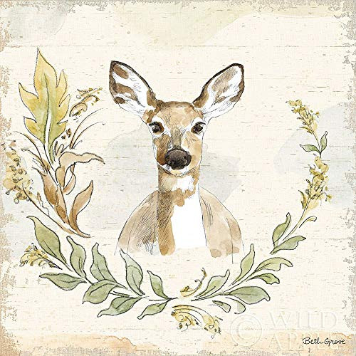 Posterazzi Collection Woodland Wreath VII Poster Print by Beth Grove (12 x 12)