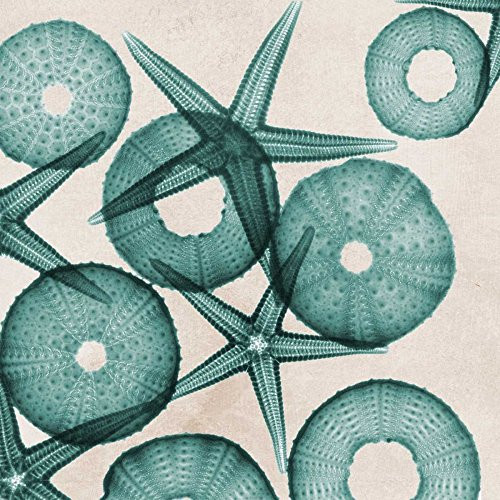 Posterazzi PDXAKXSQ402BSMALL Under The Sea 3 Photo Print, 18 x 18, Multi