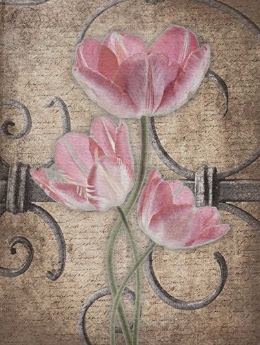 Posterazzi PDXJGRC115B3SMALL Floral Fence Mate 3 Photo Print, 18 x 24, Multi