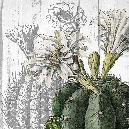 Posterazzi PDXKASQ1251CSMALL Cactus Cowboy 3 Photo Print, 18 x 18, Multi