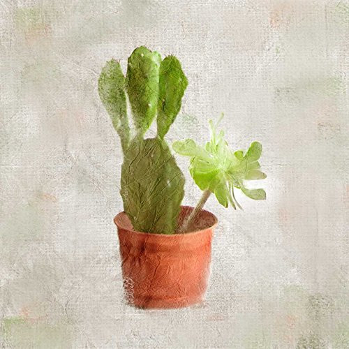 Posterazzi PDXKASQ153CSMALL Potted Life 3 Photo Print, 18 x 18, Multi
