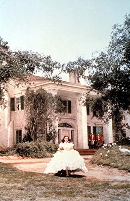 Posterazzi EVCMSDGOWIEC081LARGE Gone with The Wind, Vivien Leigh at Tara Plantation, 1939 Photo Print, 16 x 20, Multi