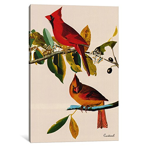 iCanvasART Cardinal Canvas Print by John James Audubon, 18" x 12"