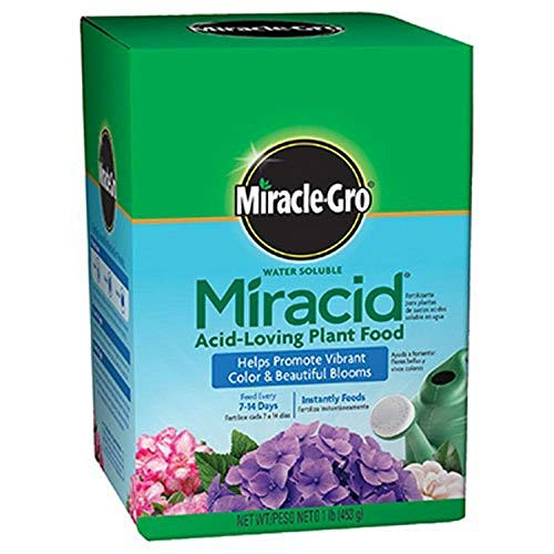 Scotts Company Miracle-Gro 1750011 Water Soluble Miracid Acid-Loving Plant Food, 1-Pound