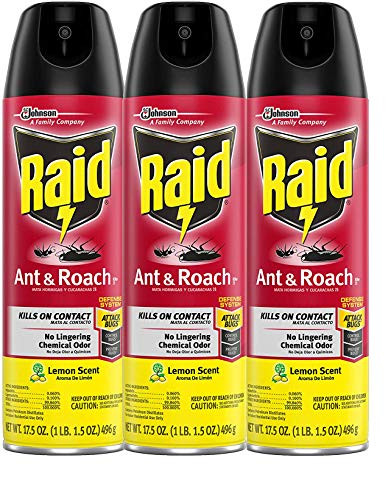 Raid Ant & Roach Killer Lemon Scent, 17.5 OZ (3)
