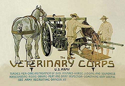 Buyenlarge 0-587-01025-8-P1827 The Veterinary Corps. U.S. Army Paper Poster, 18" x 27"