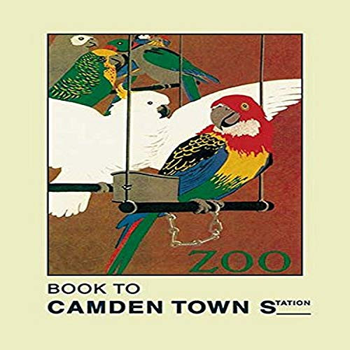 Buyenlarge 0-587-01470-9-G1827 'The London Zoo: Exotic Birds' Giclee Fine Art Print, 18" x 27"