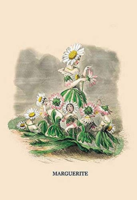 Buyenlarge 0-587-02290-6-P1827 Marguerite Paper Poster, 18" x 27"