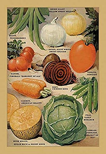 Buyenlarge 0-587-02604-9-P1827 Garden Richness #1" Paper Poster, 18" x 27"