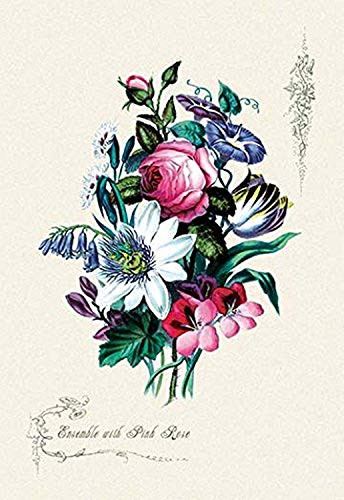 Buyenlarge 0-587-04353-9-P1827 Ensemble with Pick Rose Paper Poster, 18" x 27"