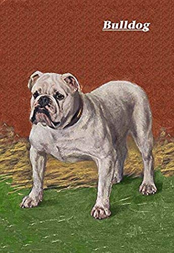 Buyenlarge White Bulldog - 16" X 24" Fine Art Giclee Print