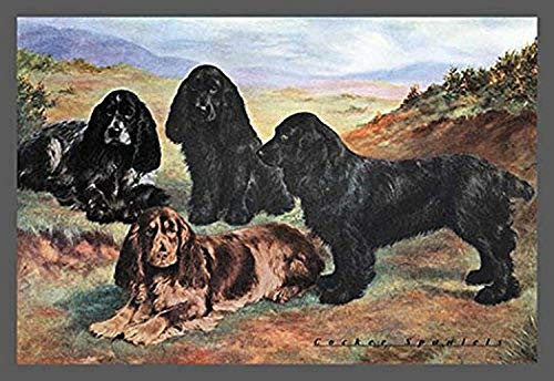 Buyenlarge 0-587-04387-3-P1218 Four Cocker Spaniels Paper Poster, 12" x 18"