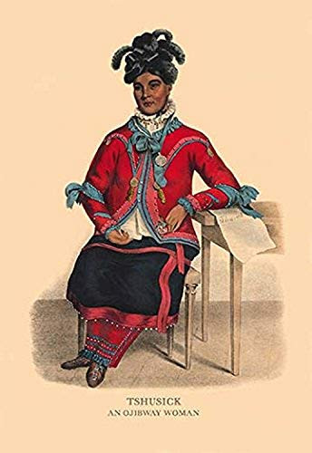 Buyenlarge 0-587-05181-7-P1827 Tshusick (an Ojibway Woman) Paper Poster, 18" x 27"