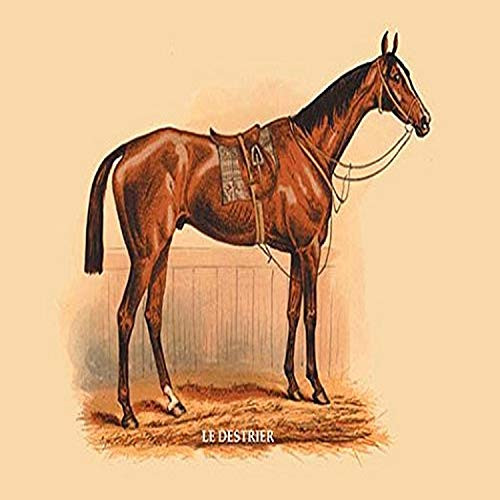 Buyenlarge 0-587-05271-6-G1827 'Le Destrier' Giclee Fine Art Print, 18" x 27"