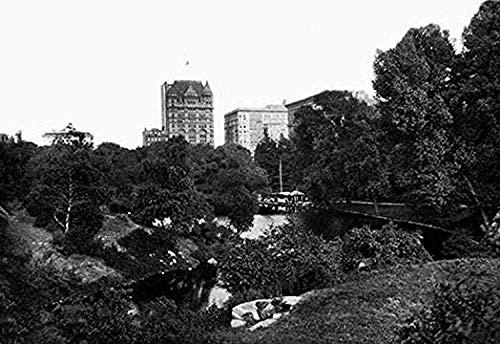 Buyenlarge 0-587-05423-9-P1218 The Pond in Central Park, New York City Paper Poster, 12" x 18"