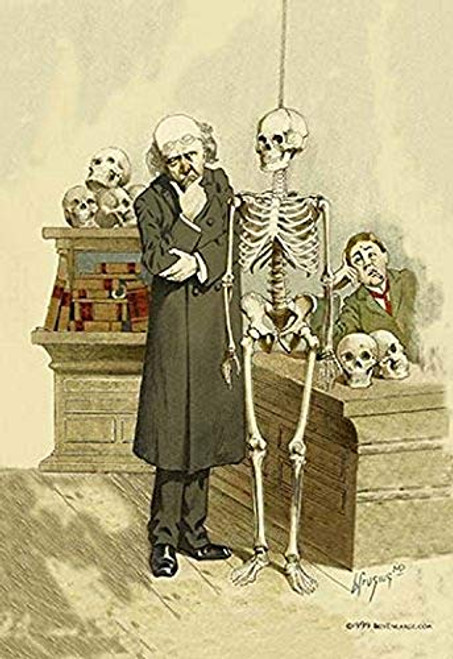 Buyenlarge Death Under Inspection - 16" X 24" Fine Art Giclee Print