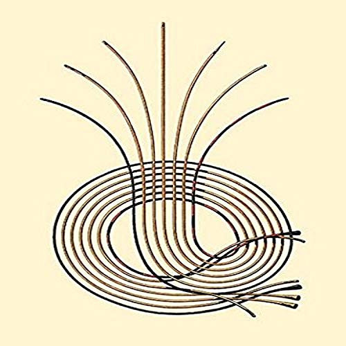 Buyenlarge Catheters #3-8" X 12" Fine Art Giclee Print