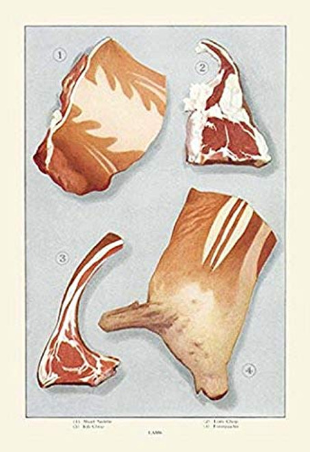 Buyenlarge 0-587-07909-6-P1218 Cuts of Lamb Paper Poster, 12" x 18"