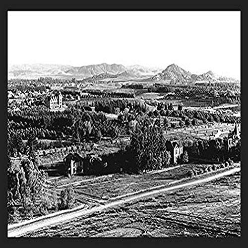 Buyenlarge 0-587-08199-6-G1827 'Riverside, California' Giclee Fine Art Print, 18" x 27"