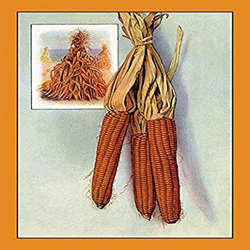 Buyenlarge 0-587-08386-7-G1827 'Corn' Giclee Fine Art Print, 18" x 27" Buyenlarge 0-587-08386-7-G1827 'Corn' Giclee Fine Art Print, 18" x 27"