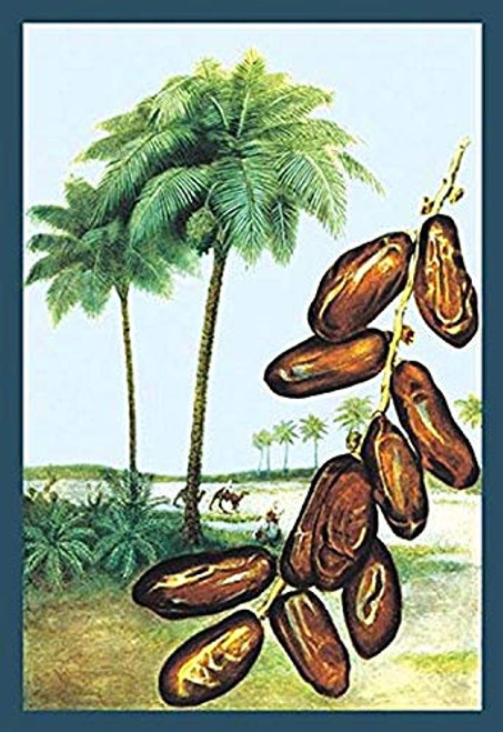 Buyenlarge 0-587-08623-8-P1827 Dates Paper Poster, 18" x 27"