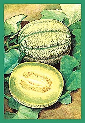 Buyenlarge 0-587-08626-2-P1827 Muskmelon Paper Poster, 18" x 27"