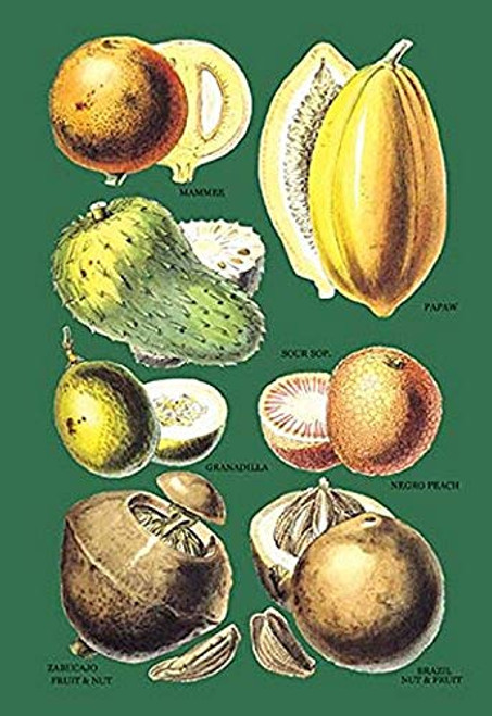 Buyenlarge 0-587-08649-1-P1827 Fruits and Nuts #2" Paper Poster, 18" x 27" Buyenlarge 0-587-08649-1-P1827 Fruits and Nuts #2" Paper Poster, 18" x 27"