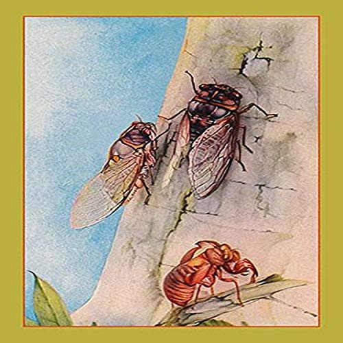 Buyenlarge 0-587-09248-3-G1827 'The Cicada' Giclee Fine Art Print, 18" x 27" Buyenlarge 0-587-09248-3-G1827 'The Cicada' Giclee Fine Art Print, 18" x 27"