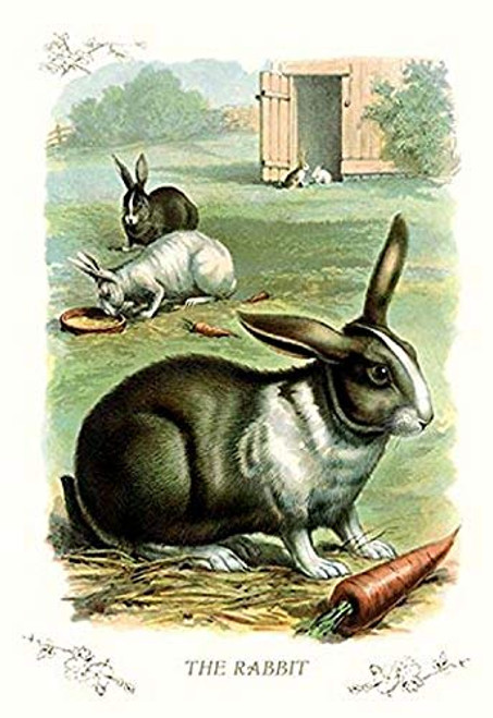 Buyenlarge 0-587-11188-7-P1218 The Rabbit Paper Poster, 12" x 18" Buyenlarge 0-587-11188-7-P1218 The Rabbit Paper Poster, 12" x 18"
