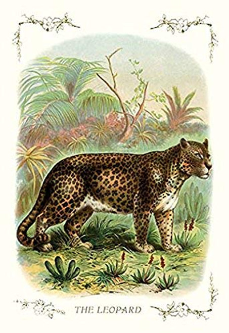 Buyenlarge 0-587-11192-5-P1827 The Leopard Paper Poster, 18" x 27" Buyenlarge 0-587-11192-5-P1827 The Leopard Paper Poster, 18" x 27"