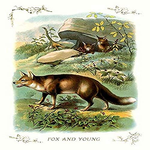 Buyenlarge Fox and Young - 8" X 12" Fine Art Giclee Print