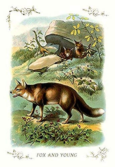 Buyenlarge 0-587-11193-3-P1827 Fox and Young Paper Poster, 18" x 27" Buyenlarge 0-587-11193-3-P1827 Fox and Young Paper Poster, 18" x 27"