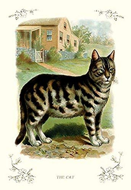 Buyenlarge 0-587-11207-7-P1827 The Cat Paper Poster, 18" x 27" Buyenlarge 0-587-11207-7-P1827 The Cat Paper Poster, 18" x 27"