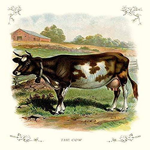 Buyenlarge The Cow - 8" X 12" Fine Art Giclee Print