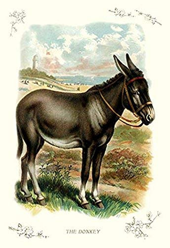 Buyenlarge 0-587-11210-7-P1218 The Donkey Paper Poster, 12" x 18"