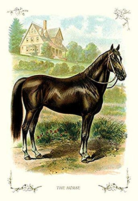 Buyenlarge 0-587-11212-3-P1827 The Horse Paper Poster, 18" x 27"
