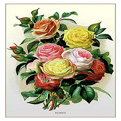 Buyenlarge 0-587-11548-3-G1827 'Roses' Giclee Fine Art Print, 18" x 27"