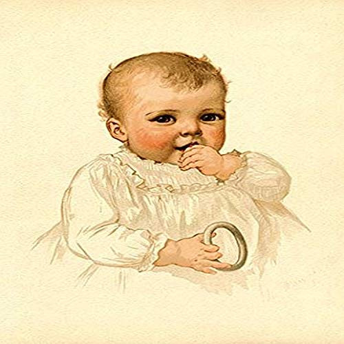 Buyenlarge Sweet Shayne - 8" X 12" Fine Art Giclee Print