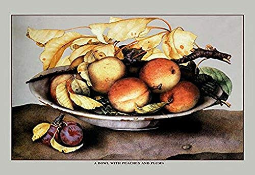 Buyenlarge 0-587-11572-6-P1218 A Bowl with Peaches and Plums Paper Poster, 12" x 18"