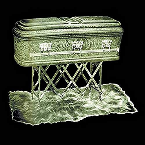 Buyenlarge 0-587-11765-6-G1827 'Casket in Green' Giclee Fine Art Print, 18" x 27"