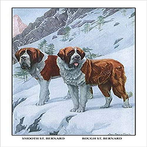 Buyenlarge 0-587-11829-6-G1827 'Two Saint Bernards' Giclee Fine Art Print, 18" x 27"