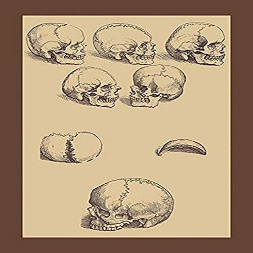 Buyenlarge Skulls - 8" X 12" Fine Art Giclee Print