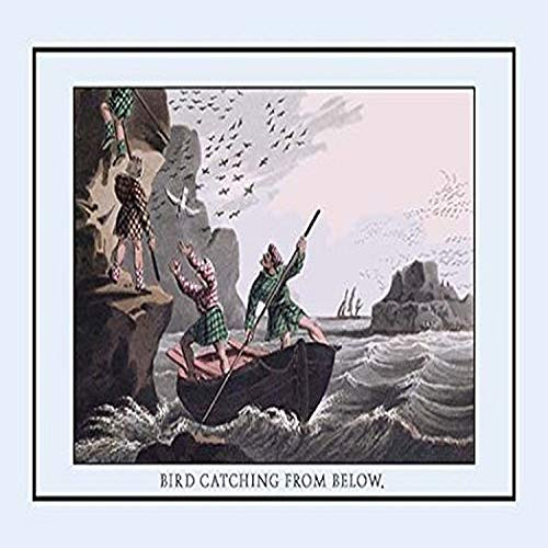 Buyenlarge 0-587-12397-4-P1827 Bird Catching from Below Paper Poster, 18" x 27"