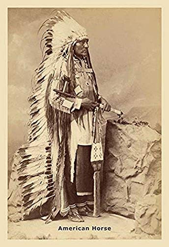 Buyenlarge 0-587-12480-6-P1218 American Horse Paper Poster, 12" x 18"