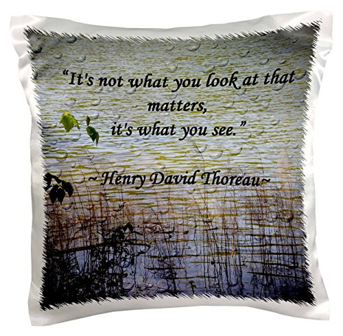3dRose pc_127862_1 Thoreau Quote A Lake Scene Photo with A Thoreau Quote Pillow Case, 16" x 16"