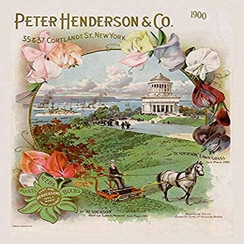 Buyenlarge Peter Henderson and Co, 1900-8" X 12" Fine Art Giclee Print
