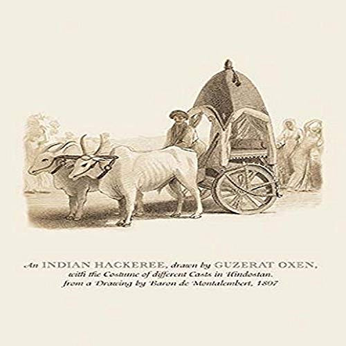 Buyenlarge an Indian Hackeree - 8" X 12" Fine Art Giclee Print