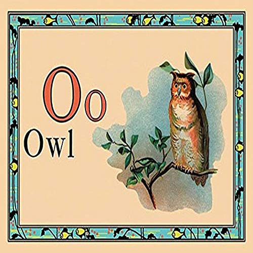 Buyenlarge 0-587-13697-9-P1827 Owl Paper Poster, 18" x 27"